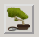 File:Gen tree button ontreatment.png